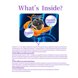 Suplemento OEM para el Metabolismo Digestivo <span class=keywords><strong>de</strong></span> Mascotas, Soporte Pancreático e Intestinal, Absorción <span class=keywords><strong>de</strong></span> <span class=keywords><strong>Nutrientes</strong></span> para Perros y Gatos - Product Image 3
