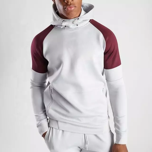 Pull à capuche personnalisé en coton biologique 100% pour hommes Sweats à capuche vierges en éponge française lourde de haute qualité - Product Image 6