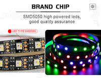 Kit de Bande LED PVC Étanche Flexible RVB Néon, Contrôle via Application Intelligente et USB, Taille Personnalisable, Indice de Protection IP44, pour Aménagement Paysager