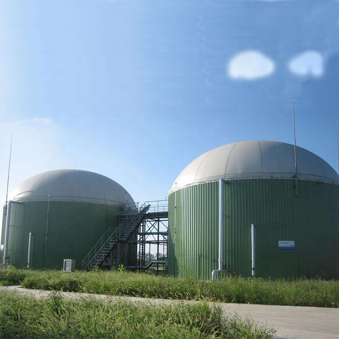 Biogaz bolsa de armazenamento, montagem superior na planta biodigester