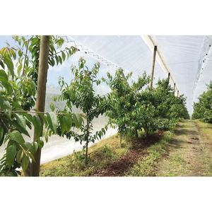 <span class=keywords><strong>Filet</strong></span> de protection pliable en HDPE pour jardin, bâche de protection pour culture végétale - Product Image 5