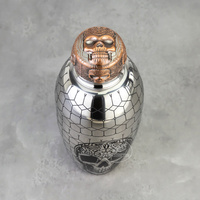 Shaker à cocktail Cobbler unique en forme de tête de crâne, 550 ml, lourd, pour bar, martini, margarita, mélange de vins, avec filtre intégré