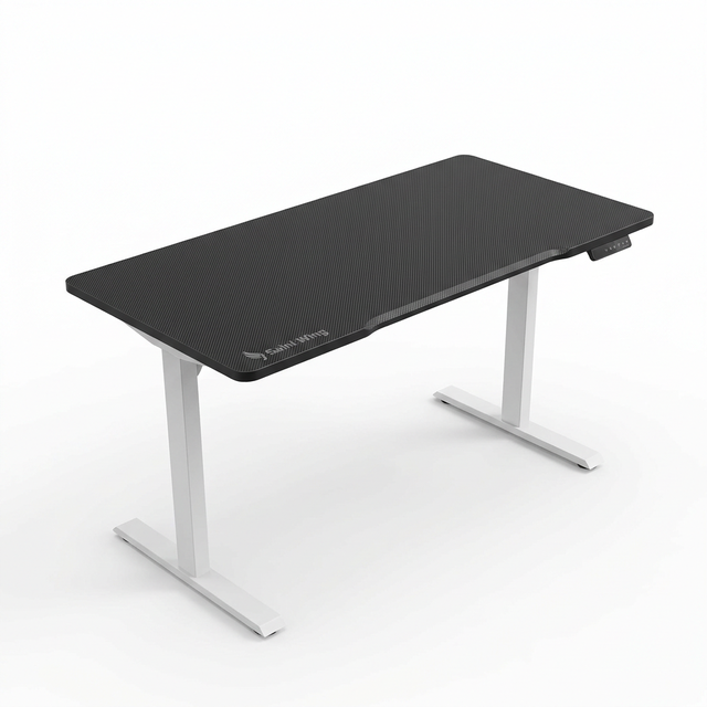 Single Motor Gaming Standing Desk Electric Height Adjustable Carbon Fiber Top 80kg Esports Workstation 120x60cm