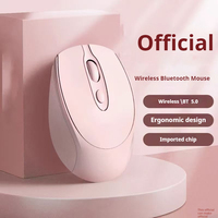 Souris Sans Fil 2.4G Silencieuse d'Ordinateur Avec Nano Récepteur USB pour Ordinateur Portable