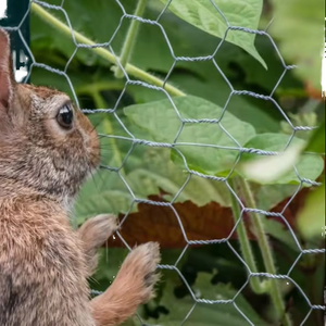 ตาข่ายโลหะเหล็กชุบสังกะสีรูหกเหลี่ยม ลายนูน โครงสร้างมั่นคง แข็งแรง ทนทาน ไม่แตกหักง่ายเมื่อโค้งงอ - Product Image 1