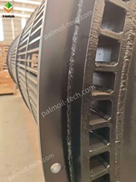 Automatische Palmvruchtenontsteker en -dorsmachine, zware constructie van koolstofstaal, capaciteit 1000 kg/uur voor palmolieverwerking