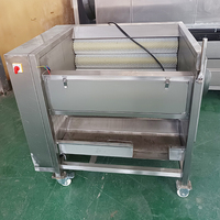 YouBan CE-gecertificeerde automatische borstelrolwasser-schilmachine voor gember, wortelen, wortelgroenten en voedselverwerkingslijnen
