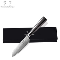 Couteau Santoku Japonais de 4,5 Pouces, Épaisseur 2,5 MM, Noyau VG-10, 67 Couches de Damas, Finition Miroir G10, OEM/ODM Luxe