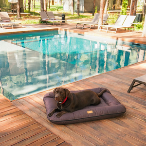 Eco-friendly OEKO-Tex Certified Luxury Waterproof <strong>Dog</strong> <strong>Bed</strong> New Design Indoor and <strong>Outdoor</strong> Pet <strong>Bed</strong> Cushion Mat - Product Image 3