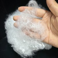 Fibre de polypropylène PP 15D pour tapis/pour géotextile non tissé/pour automobile