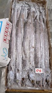 <span class=keywords><strong>Cinta</strong></span> Pescado Congelado De Buena Calidad Y Buen Precio - Product Image 3
