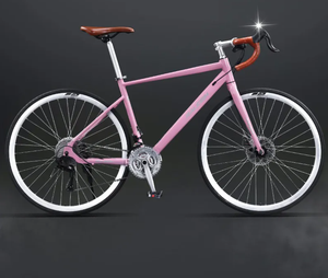 Nouveau vélo de route 2026 pour hommes et femmes, vélo adulte 24 vitesses pour la conduite en extérieur, les trajets quotidiens et le travail - Product Image 6