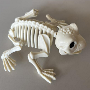 Halloween Horror Calavera Animal Articulaciones móviles <span class=keywords><strong>Esqueleto</strong></span> Murciélago Araña Escorpión <span class=keywords><strong>Rata</strong></span> Serpiente Casa embrujada Accesorios Sapo <span class=keywords><strong>Esqueleto</strong></span> - Product Image 5