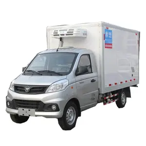 2023 China Brand Foton Mobile Freezer Truck 4x2 116HP Van Cargo Truck Food Ice Cream Truck For Sale