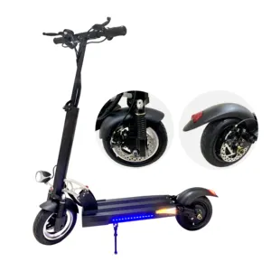 OEM 10 ''escooter 800W 15AH 45 كجم قوية على الطرق الوعرة الذاتي موازنة الدهون الكبيرة حقيبة مقعد دراجة بخارية صغيرة كهربائية قابلة للطي
