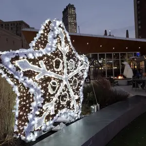 2024 extérieur 3d motif de Noël lumières led sculpture grande étoile led
