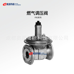 Vanne de réduction de pression Dungs FRS503 1/2 pouce pour brûleur de chaudière, vanne de régulation de gaz - Product Image 3