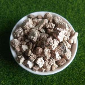 Venta Directa de Fábrica: Plántulas para Cultivo, Esquejes Hortícolas de Nivel de Exportación, <span class=keywords><strong>Vermiculita</strong></span> y <span class=keywords><strong>Vermiculita</strong></span> Expandida - Product Image 2