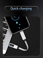 Neuestes 5A Schnellladungs-3-in-1-LED-Display-Schlüsselanhänger-USB-C-Kabel, magnetisches USB-Kurzkabel, Computer-Aluminiumlegierung, reine Kamera-Qualität