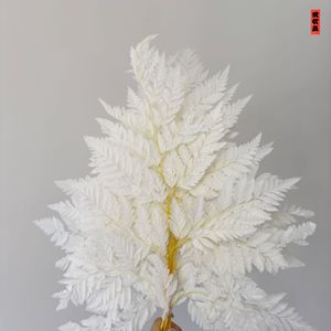 La migliore vendita di fiori secchi e <span class=keywords><strong>felce</strong></span> in pelle conservata per la decorazione della casa per la celebrazione del capodanno cinese - Product Image 6