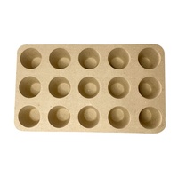 Plateau de graines de pâte à papier, 12 cellules biodégradables bon marché, Pot de pépinière de fleur de pivoine