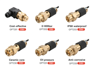 Transmisor de Presión de Agua GPT200 con Salida de 4~20mA y RS485 - Product Image 4