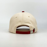 Chapeau de papa en détresse personnalisé logo de broderie 3D motifs de fruits à pois brodés à la main 6 panneaux tissu en popeline Oxford de style Dobby