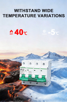 25/32/40/50/63/125A Endüstriyel MCB Devre Kesiciler ve Elektrik Kesiciler - 30 Amper Kapasiteli 2 Kutuplu Solar MCB'ye Sahip