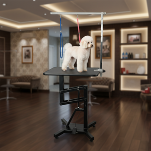 Nouvel équipement vétérinaire pour chiens avec structure fixe pour le séchage du pelage, le bain et <span class=keywords><strong>la</strong></span> table de toilettage pour animaux de compagnie - Product Image 1