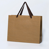 Sacs en papier couché recyclé et en papier kraft avec poignée longue et pelliculage décoratif pour bijoux, vin et vêtements