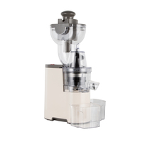 Hoge Kwaliteit Koude Pers Verticale Langzaam Fruit Juicer 300Ml Voor Thuisgebruik Eenvoudig Schoon Langzaam Makende Juicer