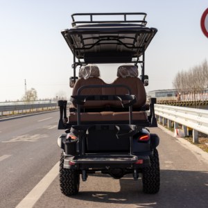 Carrito de <span class=keywords><strong>Golf</strong></span> Eléctrico Todoterreno de 14 Pulgadas, Homologado para Calle, <span class=keywords><strong>Precio</strong></span> Económico, 60v, 4 Plazas, Directo de Fábrica - Product Image 4