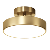 Đèn Trần Led Lối Đi, Đèn Trần Phong Cách Châu Âu Được Lắp Đặt Ở Lối Vào Của Cloakroom Trong Ban Công Hành Lang Hành Lang