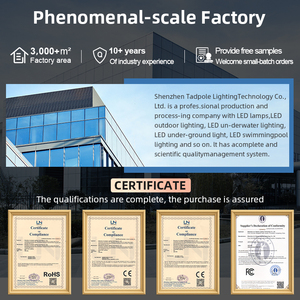 ضوء لاسلكي مقاوم للماء IP68 بجهد 12 فولت لحمامات السباحة، مصنوع من الفولاذ المقاوم للصدأ 316L ومحشو بالراتنج، إضاءة LED تحت الماء لحمامات السباحة - Product Image 4