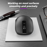 Souris Ergonomique Silencieuse Personnalisable avec Logo pour PC Portable, Souris USB sans Fil 2.4 GHz pour Bureau et Ordinateur
