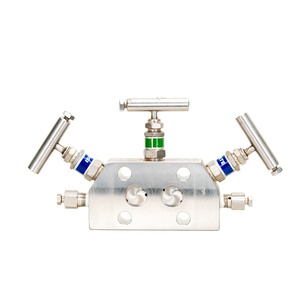 High Precision Emerson Two/Three/Five Value Group for Valve Manifold with Stainless Steel 0.5%FS Accuracy 4-20mA Output - Product Image 4
