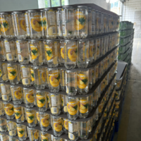 Toutes les saveurs disponibles Boissons gazeuses fruitées