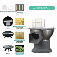 Trancheuse à légumes électrique commerciale, hachoir, 200W, capacité 300 kg/h, nouvelle trancheuse à pommes de terre, support à oignons, fonction de découpe, fruits