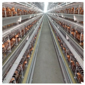 Cage <span class=keywords><strong>de</strong></span> couche chinoise <span class=keywords><strong>de</strong></span> haute qualité nouvelle cage <span class=keywords><strong>de</strong></span> treillis métallique <span class=keywords><strong>de</strong></span> <span class=keywords><strong>caille</strong></span> à vendre - Product Image 4