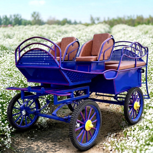 Carruaje de Caballos de Alta Calidad 2026, de Cuatro Ruedas, para Maratón, con Dos Asientos, para Paseos Turísticos, Bodas, en Venta - Product Image 1