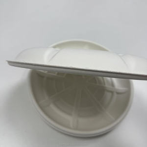 Grands plateaux alimentaires jetables personnalisés de 11 pouces 14 pouces 19 pouces Assiettes à <span class=keywords><strong>plateau</strong></span> à usage intensif Écrevisses <span class=keywords><strong>Homard</strong></span> Dessert Fruits de mer - Product Image 4