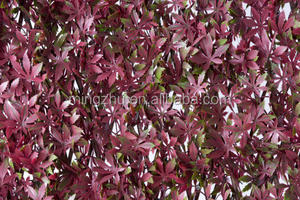 003A Clôture de jardin en treillis de saule expansible décorative UV - Product Image 4