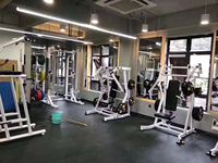 Máquina de Press de Bíceps Iso Decline Hammer Gym Equipment, Equipo de Fitness Comercial para Fortalecimiento Muscular