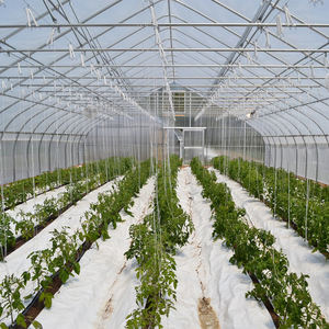 Kleine Grote Maat Enkele Overspanning Tunnel Kas Dubbellaags Pe Stalen Hoes Voor Tomatengroenteplanten Vierkante Film Kas - Product Image 4