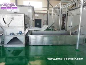 โรงฆ่าสัตว์โรงฆ่าสัตว์,อุปกรณ์การฆ่าหมูสำหรับโรงฆ่าสัตว์หว่าน - Product Image 5