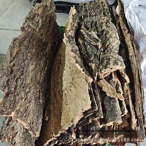 ท่อเปลือกแชมเปญโปรตุเกสธรรมชาติเป็นมิตรต่อสิ่งแวดล้อมสำหรับสัตว์เลี้ยงปีนเขาหลุมหนีออกจากบ้านในป่าฝนตกแต่งพื้นหลังของถัง - Product Image 2