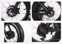 Sepeda Listrik Ban Tebal 48V 750W Ebike Sepeda Listrik Ban Tebal untuk Salju Sepeda Listrik Ban Tebal 1000w 20 Inci E-bike Ban Tebal