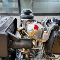 Compacteur diesel portatif à faible consommation de carburant, 75 Hz de vibration, mini-compacteur pour la réparation des routes de village et des chaussées en asphalte