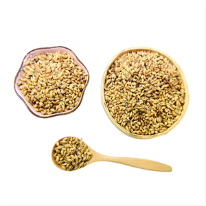 Malta Frita, Cuidado Herbal Natural para la Digestión y la Salud del Baño de Glándulas. Malta Frita - Product Image 5