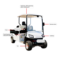Voiturette de golf électrique Tarion homologuée CE, haute qualité, 60V, 2 places, benne basculante, moteur 3,5kW, autonomie 90km, vitesse 30-50Km/h, sans entretien